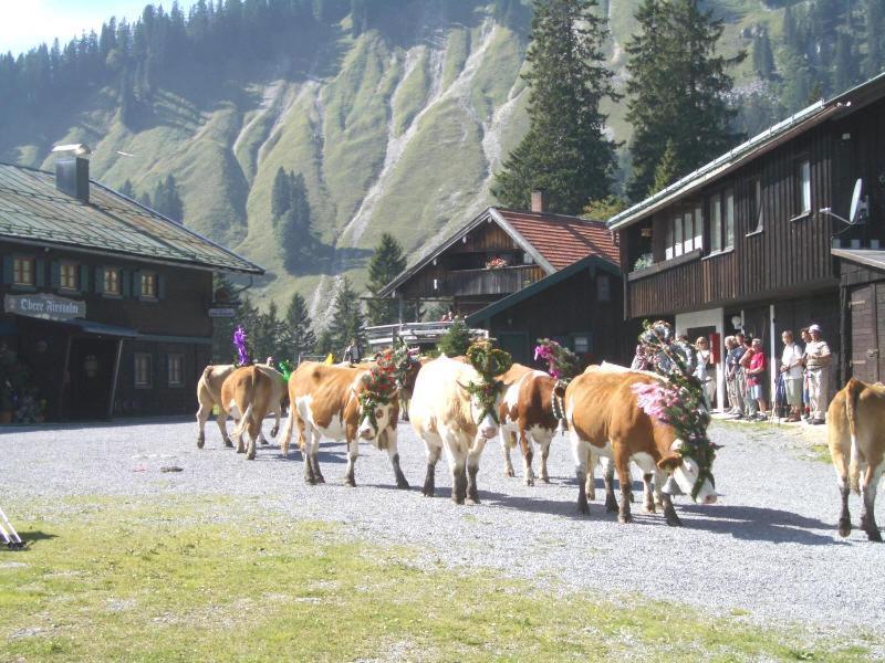 Berggasthof Obere Firstalm ชลีเอร์ซี ภายนอก รูปภาพ